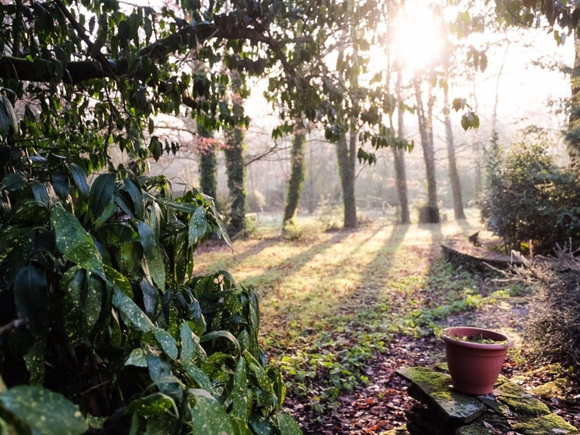 La Guilbaudiere Bed & Breakfast แซ็ง-เตร์แบล็ง ภายนอก รูปภาพ